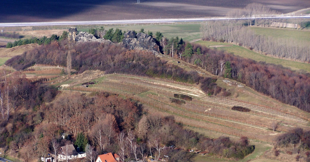 Weinberge/Königstein